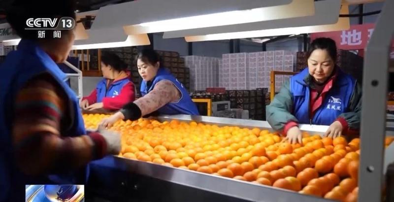  十五五规划纲要发布；三农领域迎来新部署，主动适应变化稳步向前。 新闻 十五五规划纲要发布；三农领域迎来新部署，主动适应变化稳步向前。 新闻 十五五规划纲要发布；三农领域迎来新部署，主动适应变化稳步向前。 新闻 十五五规划纲要发布；三农领域迎来新部署，主动适应变化稳步向前。 新闻