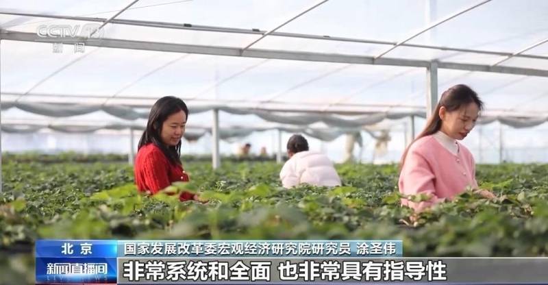  十五五规划纲要发布；三农领域迎来新部署，主动适应变化稳步向前。 新闻 十五五规划纲要发布；三农领域迎来新部署，主动适应变化稳步向前。 新闻 十五五规划纲要发布；三农领域迎来新部署，主动适应变化稳步向前。 新闻 十五五规划纲要发布；三农领域迎来新部署，主动适应变化稳步向前。 新闻