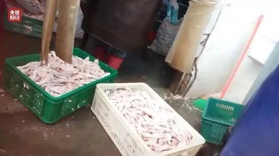  2026年3·15晚会曝光七大消费乱象；从漂白鸡爪到AI投毒，侵害权益行为遭揭露。 新闻 2026年3·15晚会曝光七大消费乱象；从漂白鸡爪到AI投毒，侵害权益行为遭揭露。 新闻 2026年3·15晚会曝光七大消费乱象；从漂白鸡爪到AI投毒，侵害权益行为遭揭露。 新闻 2026年3·15晚会曝光七大消费乱象；从漂白鸡爪到AI投毒，侵害权益行为遭揭露。 新闻