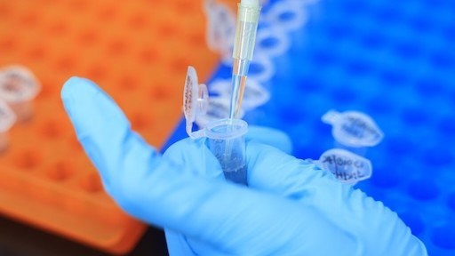  面板巨头京东方重返两千亿营收：周期波动中的价值突围与战略重构 IT技术 面板巨头京东方重返两千亿营收：周期波动中的价值突围与战略重构 IT技术