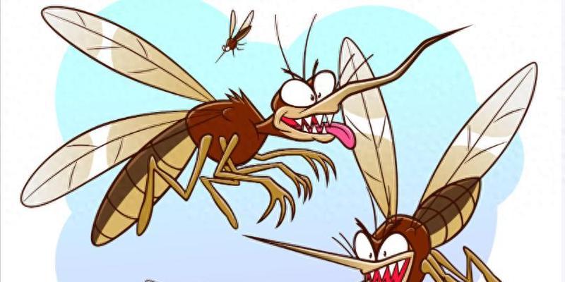 夏季居家驱蚊指南：天然植物盆栽获取与养护全攻略