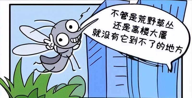  夏季居家驱蚊指南：天然植物盆栽获取与养护全攻略 家电市场