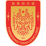  《一场意外，一份从容：足球场上的温暖与力量》 体育新闻