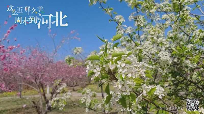 永年区养老服务补贴项目全流程技术指南：机构准入与系统对接实战手册