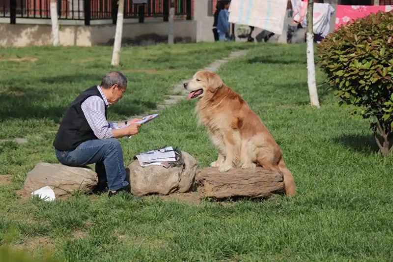 「老年健康新视角」从生理节律到认知参与：宠物陪伴如何重塑老年人生活状态