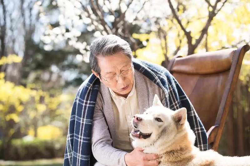  「老年健康新视角」从生理节律到认知参与：宠物陪伴如何重塑老年人生活状态 健康养生