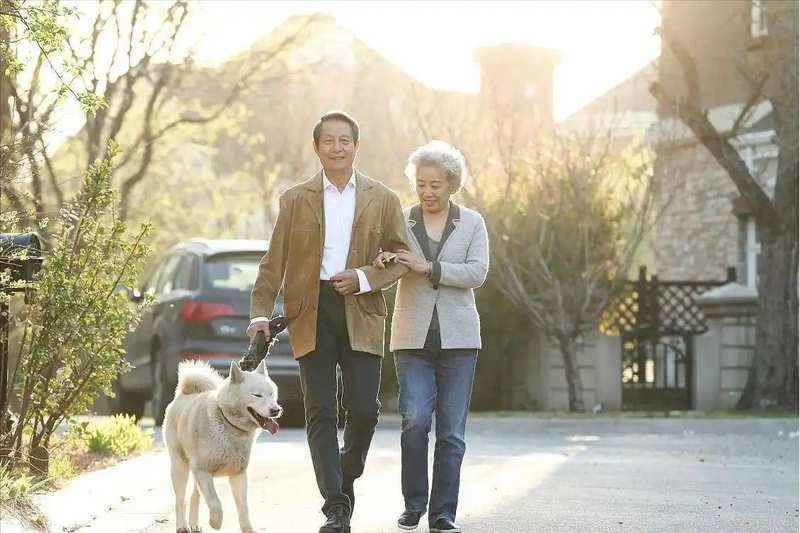  「老年健康新视角」从生理节律到认知参与：宠物陪伴如何重塑老年人生活状态 健康养生