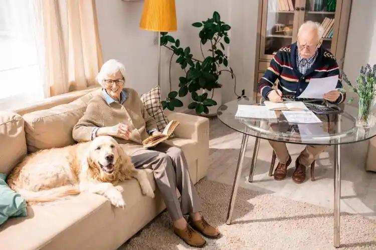  「老年健康新视角」从生理节律到认知参与：宠物陪伴如何重塑老年人生活状态 健康养生