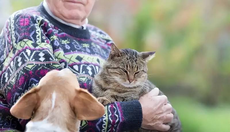  「老年健康新视角」从生理节律到认知参与：宠物陪伴如何重塑老年人生活状态 健康养生
