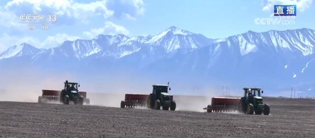  北斗导航+免耕播种：高原青稞春播的精准农业实践 IT技术