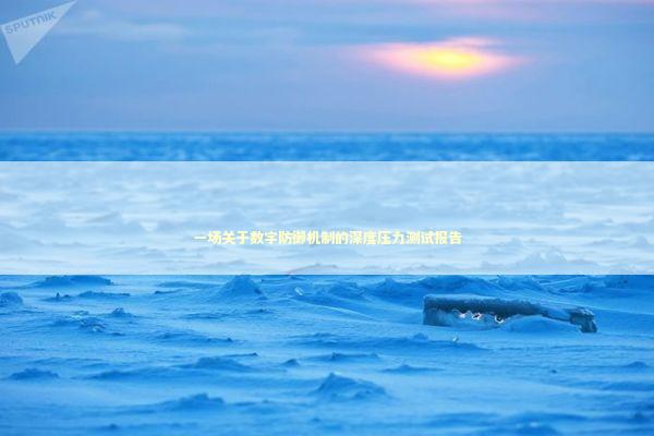 一场关于数字防御机制的深度压力测试报告