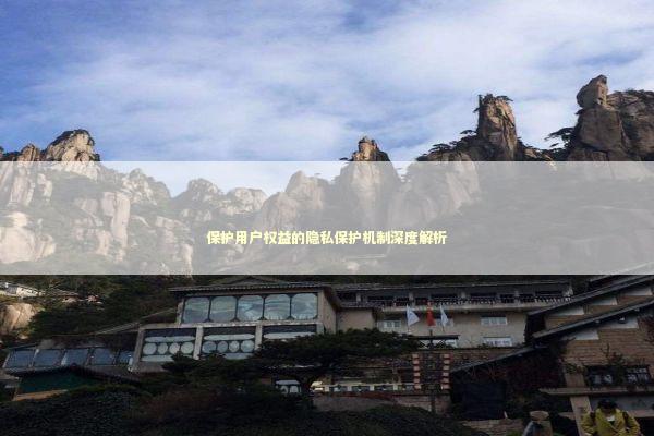保护用户权益的隐私保护机制深度解析 IT技术