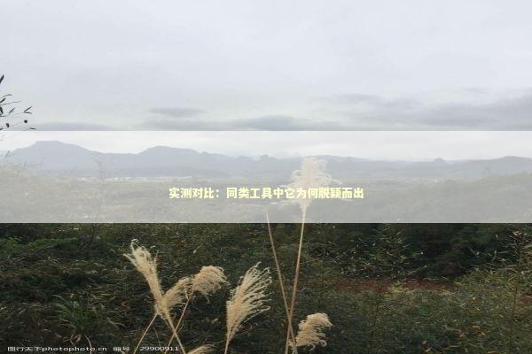 实测对比：同类工具中它为何脱颖而出 IT技术