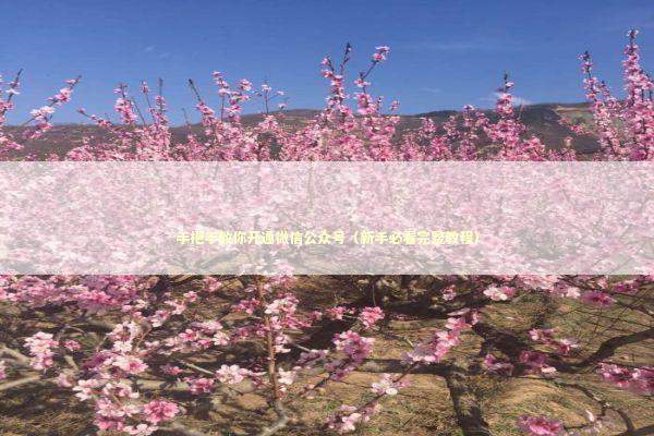 手把手教你开通微信公众号（新手必看完整教程） IT技术