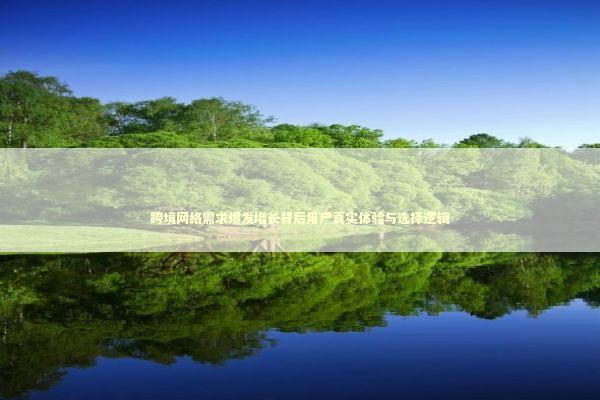 跨境网络需求爆发增长背后用户真实体验与选择逻辑