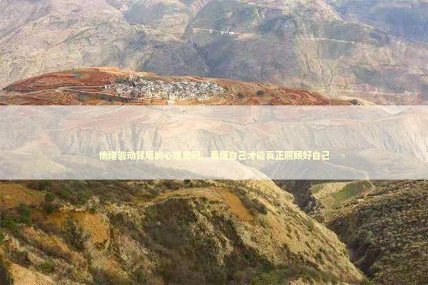 情绪波动背后的心理密码：看懂自己才能真正照顾好自己 情感心理