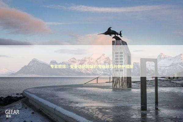 专家教你：安全访问网站的专业技巧与防护措施 IT技术