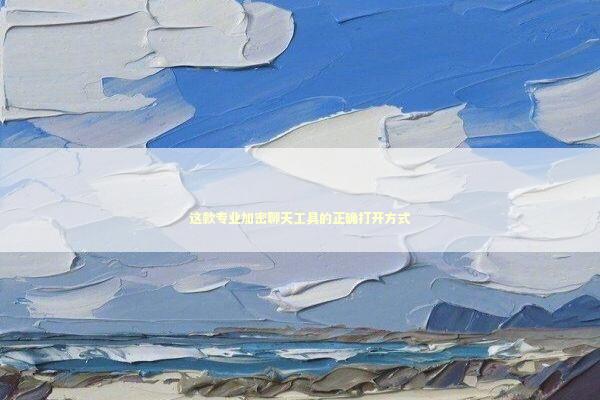 这款专业加密聊天工具的正确打开方式 IT技术