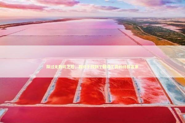 踩过无数坑之后，我终于找到了翻译工具的终极答案 教育招生