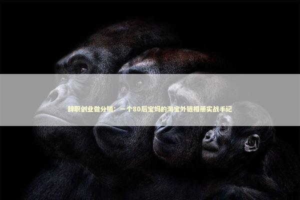 辞职创业做分销：一个80后宝妈的淘宝外链相册实战手记 新闻