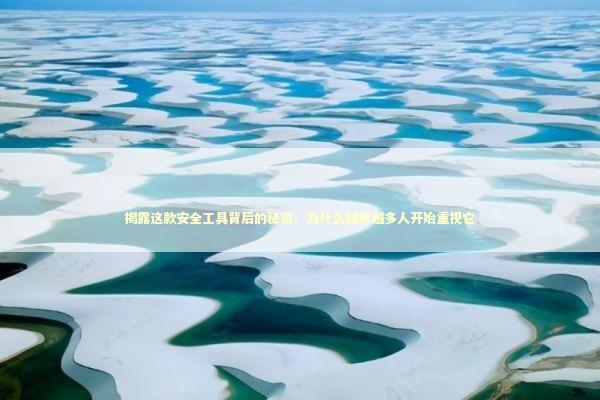 揭露这款安全工具背后的秘密：为什么越来越多人开始重视它 IT技术